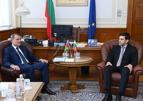 Azerbaijani FM meets with speaker of Bulgarian National Assembly