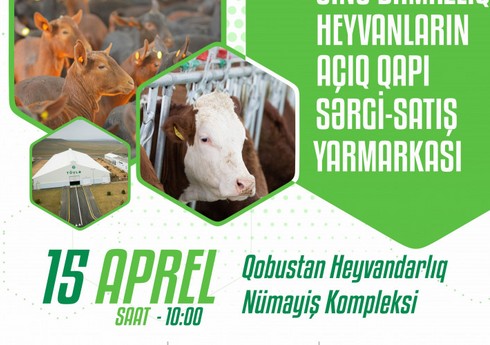 Завтра в Гобустане стартует льготная продажа коров и коз 