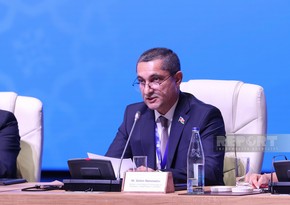 Депутат: Азербайджан придает большое значение сохранению общемировых ценностей