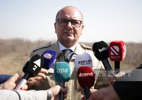 Председатель ANAMA: От мин очищена территория площадью более 68 тыс. га