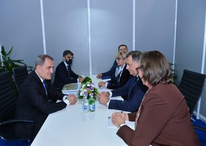 Bosnia and Herzegovina thanks Azerbaijan for its assistance in combating pandemic
