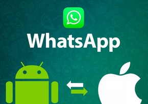 Чаты WhatsApp можно будет переносить с iOS на Android