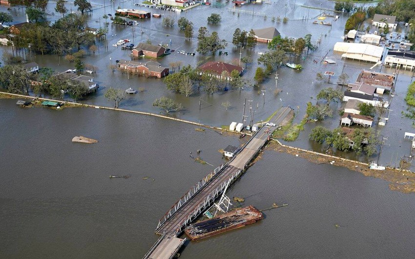 Число жертв урагана Ида в США возросло до 82