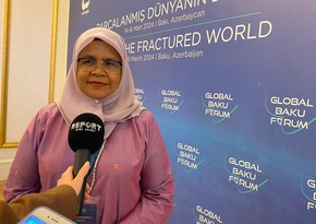 Maimunah Mohd Sharif: More action expected on climate change at COP29 in Baku