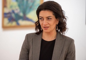 Erməni siyasətçi: Anna Akopyan istintaqda ifadə verməlidir