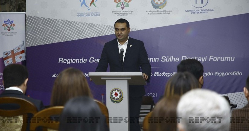 Zaur Darğallı: Qərbin agenturasına çevrilən radikal müxalifət Gürcüstanda sabitliyi pozmağa çalışır