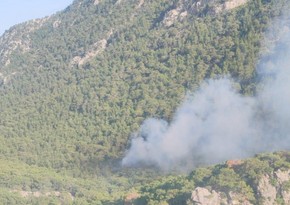 В Анталье вспыхнул лесной пожар