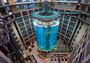 В берлинском отеле разбился аквариум высотой 16 метров, два человека ранены 