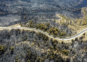 Wildfire in Turkey's Bodrum now under control