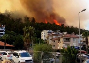 Отель в Бодруме эвакуируют из-за лесного пожара