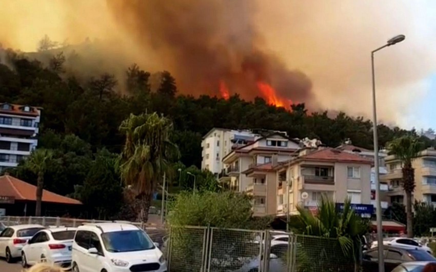 Hotel in Bodrum evacuated over forest fire