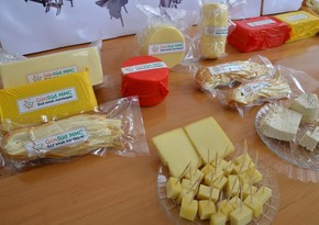 Yellow cheese production starts in Azerbaijan