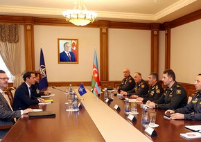 Министр обороны Азербайджана встретился со спецпредставителем НАТО по Кавказу 