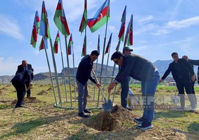 Naxçıvanda “Əkinçi bağı salınıb