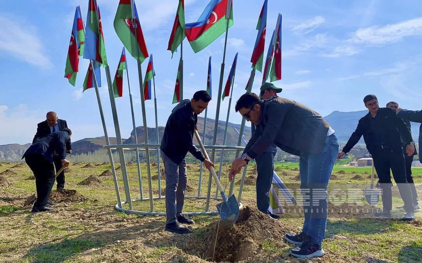 Naxçıvanda “Əkinçi bağı salınıb