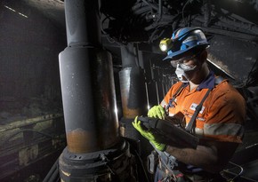 British mining firm Anglo American halts work at Queensland mine