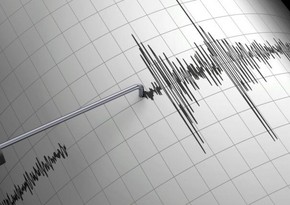 В Новой Зеланди произошло землетрясение магнитудой 5,8