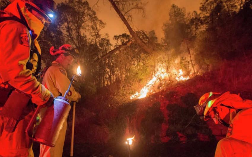 СМИ: Около 12 тысяч человек эвакуированы из-за лесных пожаров в США