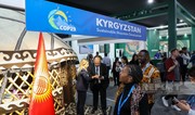 Pavilions of different countries presented at COP29