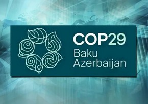 Началась выдача аккредитационных карт участникам COP29