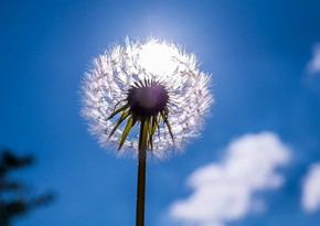 Azerbaijan weather forecast for July 22