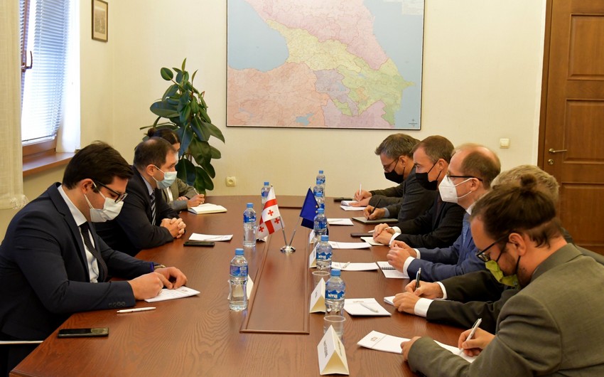 Georgian MP, EU envoy discuss Azerbaijani-Armenian border tension