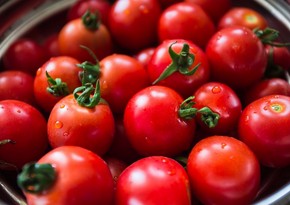 Еще 8 азербайджанских предприятий будут экспортировать помидоры в Россию 