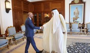 Charles Michel, emir of Qatar mull renewable energy issues