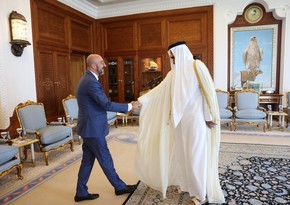 Charles Michel, emir of Qatar mull renewable energy issues