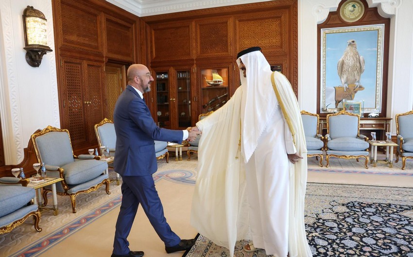 Charles Michel, emir of Qatar mull renewable energy issues