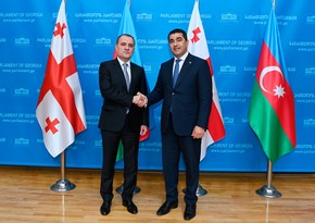 Azerbaijan's foreign minister, Georgian parliament speaker mull regional situation