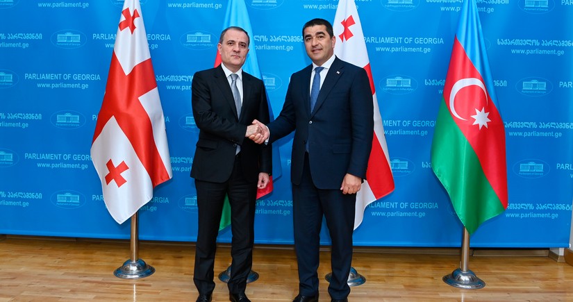 Azerbaijan's foreign minister, Georgian parliament speaker mull regional situation