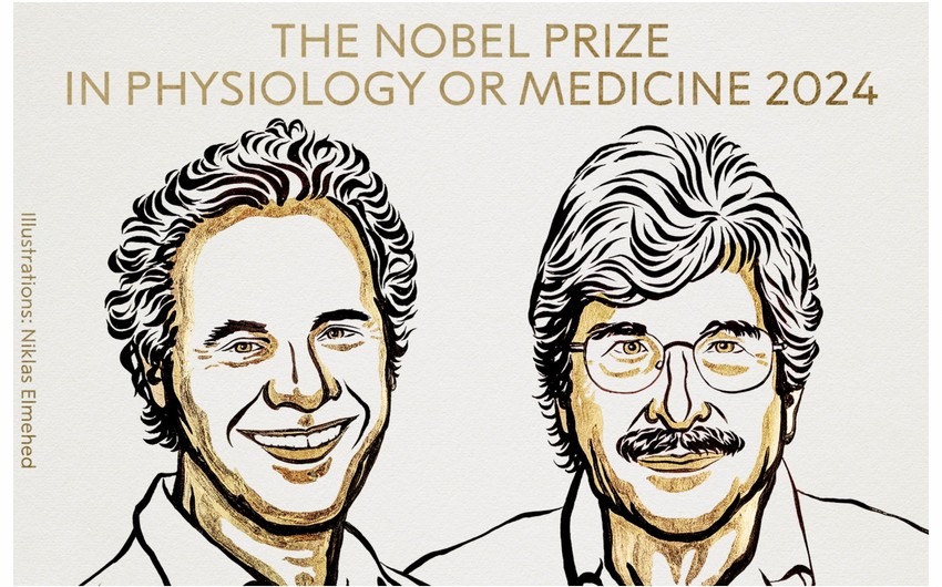 Fiziologiya və tibb üzrə Nobel mükafatı laureatları məlum olub