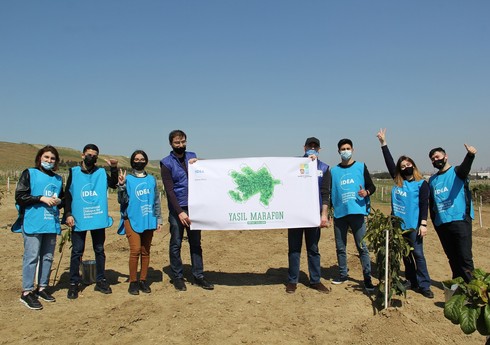 Акции по посадке деревьев прошли в Баку в рамках проекта 