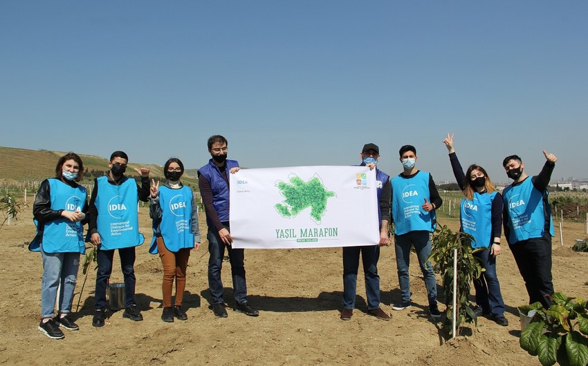 В Баку прошли акции по посадке деревьев в рамках проекта Республиканский зеленый марафон