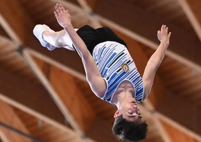 Azərbaycan gimnastı İtaliyada qızıl medal qazanıb