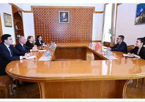 Azerbaijan, Türkiye discuss issues of legal co-op
