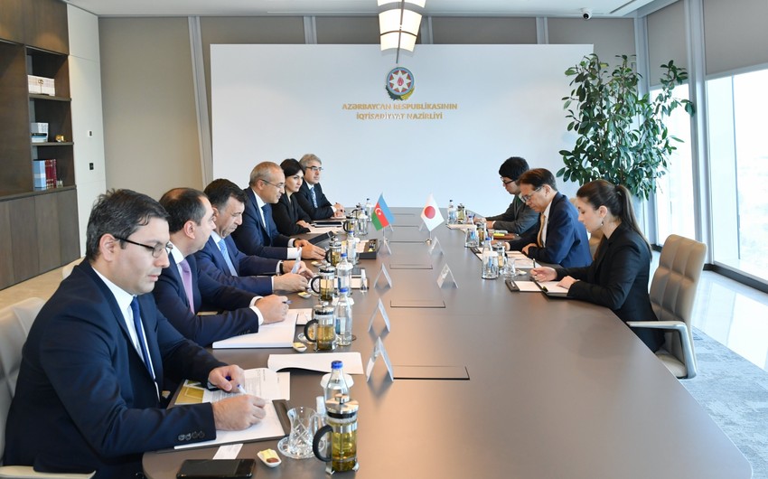 Azerbaijan discloses development priorities of partnership with Japan