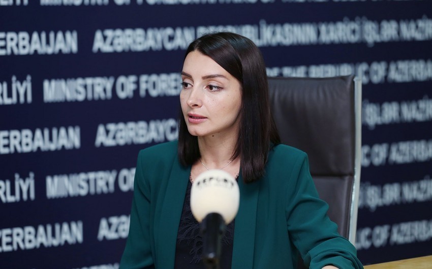 Leyla Abdullayeva: Ermənistan üçtərəfli bəyanatın mahiyyətini tam anlamayıb 