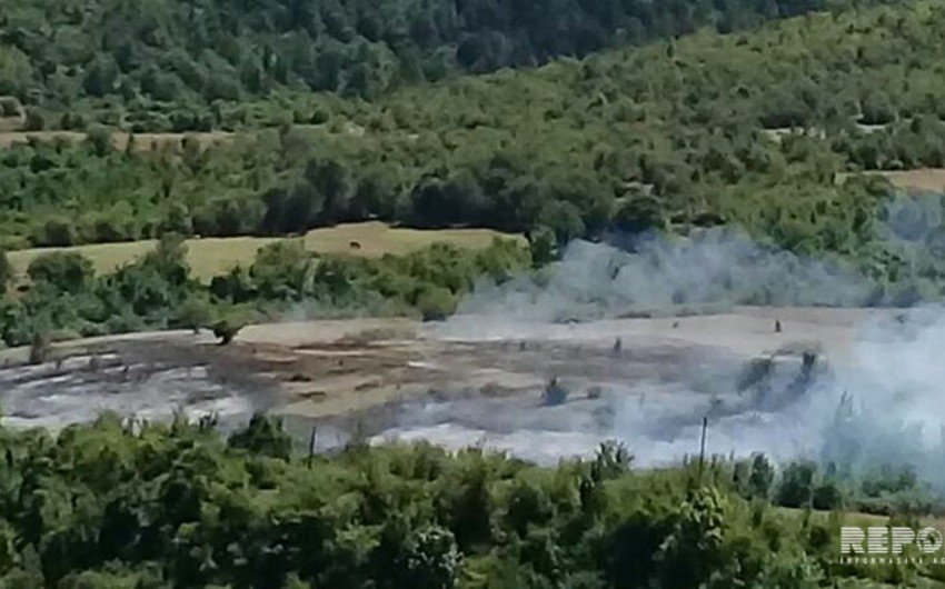 Пытаются потушить пожар, начавшийся в Гирканском национальном парке