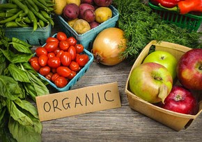 Azerbaijani parliament to mull new bill on organic production - EXCLUSIVE