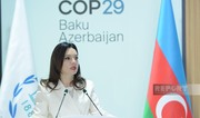 Albanian parliament speaker: Real actions needed to combat climate change