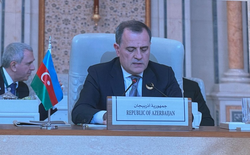 Azerbaijani Foreign Minister speaks at Arab-Islamic Emergency Summit