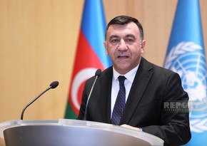 Samad Bashirli: Azerbaijan will have to levy carbon tax if other countries do