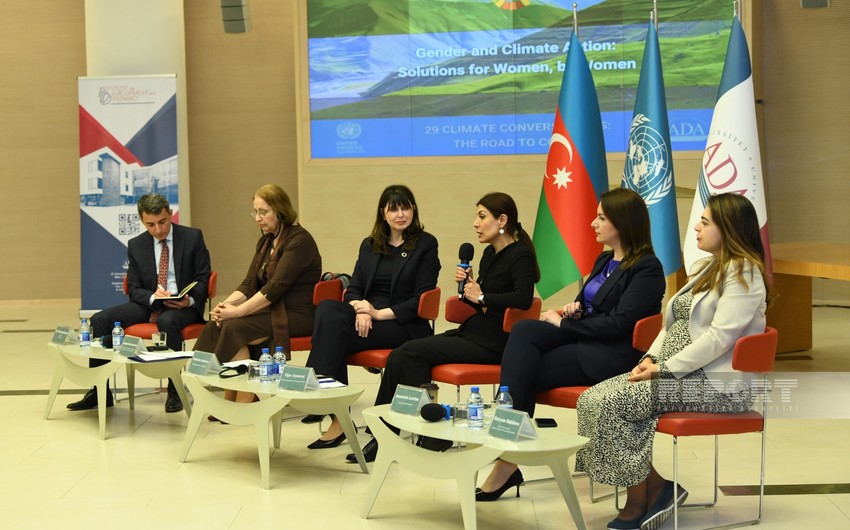 UN Office to invite climate experts to Azerbaijan within COP29