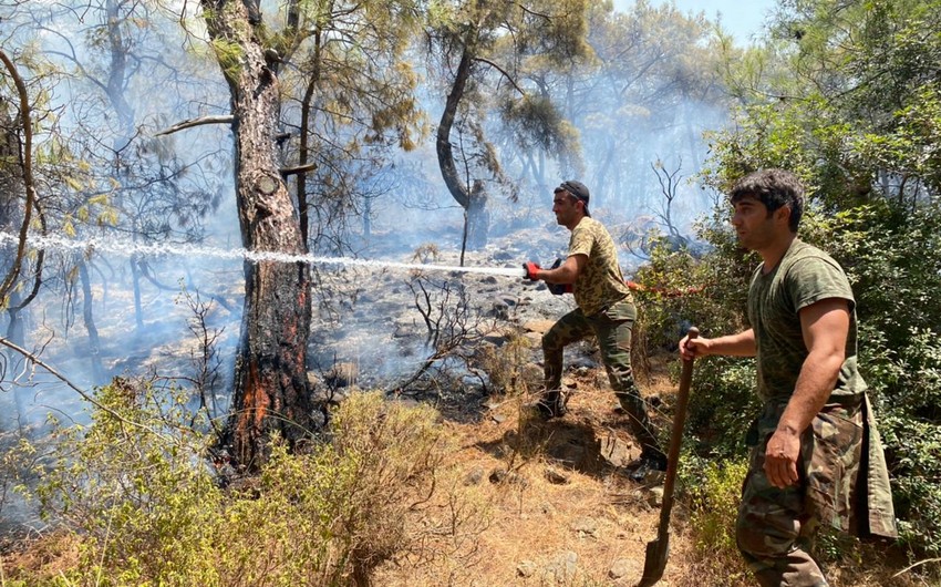 Турецко-азербайджанские противопожарные службы потушили огонь в поселке Булдан