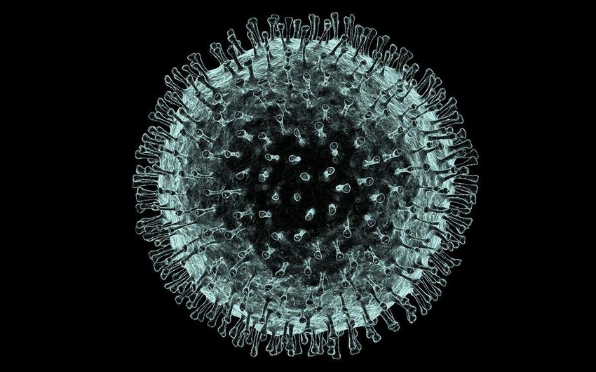 Azərbaycanda koronavirusa yoluxanlardan 37-nin durumu ağırdır
