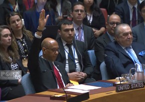 США заблокировали в СБ ООН принятие Палестины в качестве полноправного члена организации