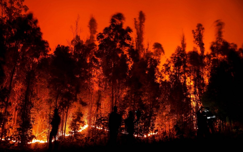 В Чили из-за лесных пожаров погибли не менее 10 человек