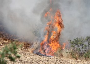 Wildfire breaks out in Antalya